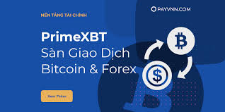 The Ultimate Guide to Trading on PrimeXBT