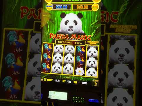 Explore the Exciting World of Spinpanda Casino Online Games 20 Explore the Exciting World of Spinpanda Casino Online Games 20