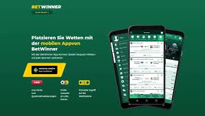 Sport Bets on Betwinner Sport Bets on Betwinner